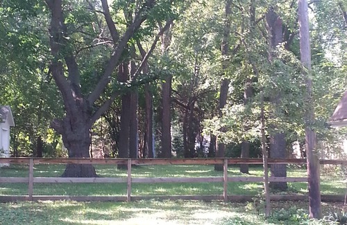 Overland Park House | Family Home, walk to Downtown Overland Park!