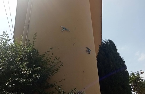 Cimiez Villa | Family villa Nice 10 minutes from beaches. Family villa in Nice 10m from the beach.