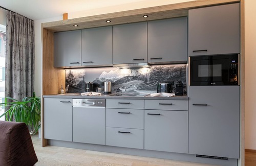 Haus im Ennstal Apartment | Fantastic apartment with a private sauna