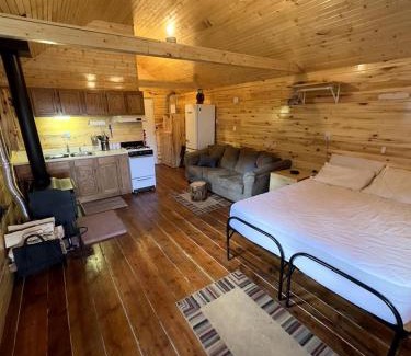 Conejos County House | Fantastic Mountain Retreat: Charming Cabin in La Jara, Colorado, near Pagosa Springs