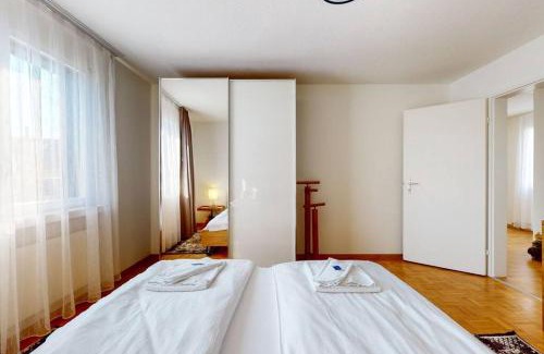 Muhlebach Apartment | Fantastic Penthouse near Lake - Mainau 14