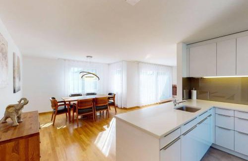 Muhlebach Apartment | Fantastic Penthouse near Lake - Mainau 14