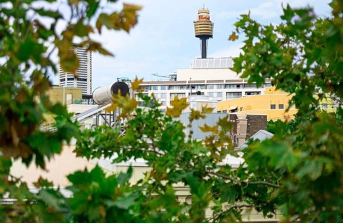 Pyrmont House | Fantastic stay-walk to darling harbour&fish market