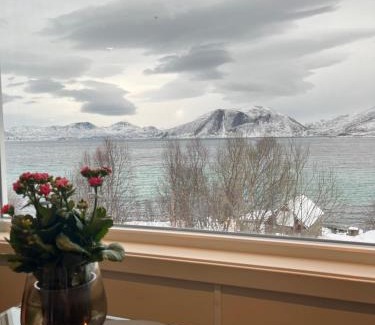 Tromvik House | Fantastic view, quiet and relaxing by the sea