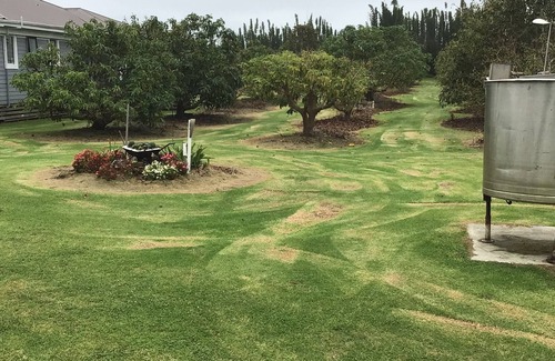 Waiharara Apartment | FAR NORTH CHILLAXING, QUIET AND SECLUDED