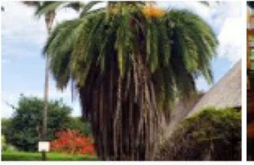 Harare East Cabin | Farai One bedroom One bathroom