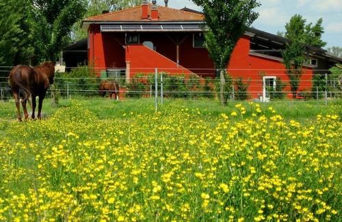 Badia Polesine House | Farmhouse "Adriano Pedretti"