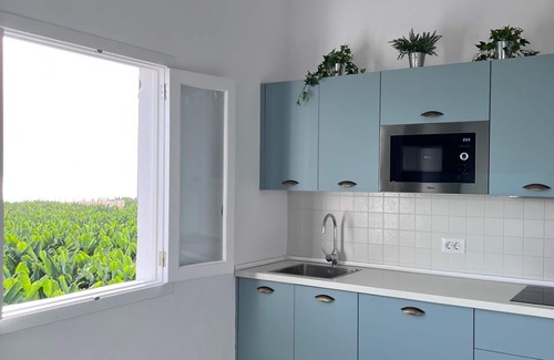 Alcala Cottage | Farmhouse Finca Delicias La Canaria