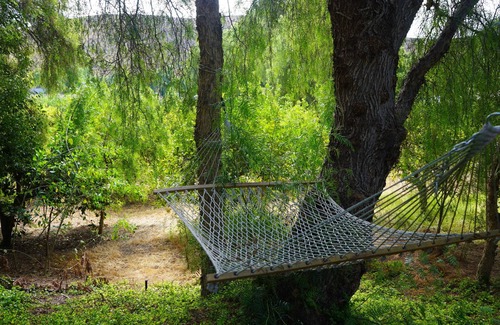 Somis Other | Farmhouse in 20acre Organic Lemon Grove - Pick Lemons - Kid-friendly - Pets OK!