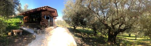 Oasis House | Farmhouse Prosilio