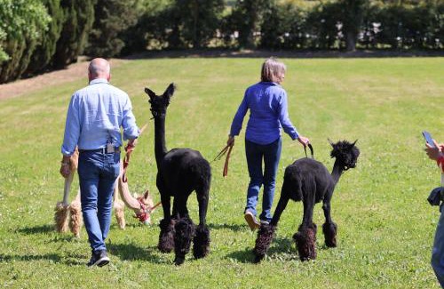 Bucine House | Fattoria Casabianca