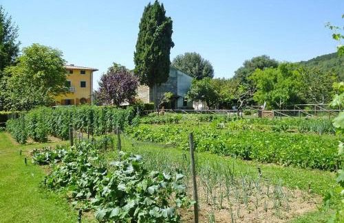 Ambra Apartment | Fattoria I Tribbi