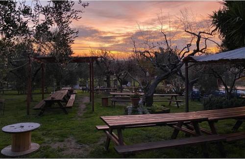 San Paolo di Civitate House | FATTORIA ROVELLO