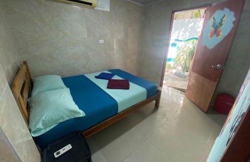 Historic Center House | Fauna