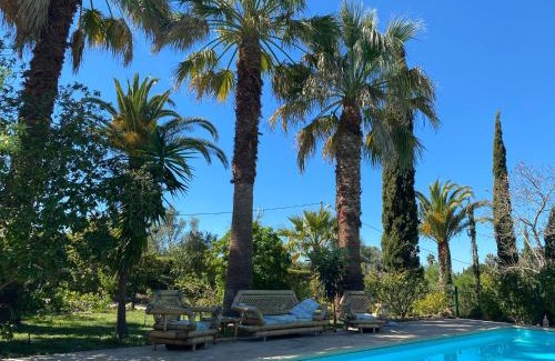 Alagoas Villa | Fazenda do Sul