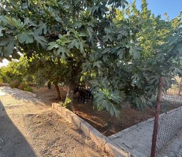 Ajloun House | Featured House Furnished Independent for Rent