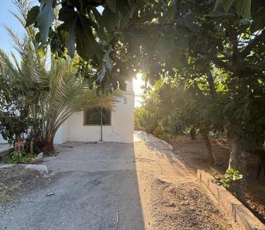 Ajloun House | Featured House Furnished Independent for Rent