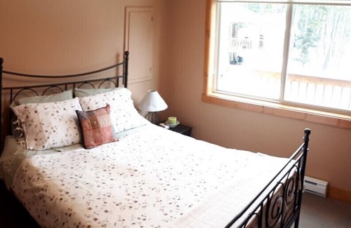 Douglas Lake Cabin | Feel at home away from home - nature abounds, family friendly!