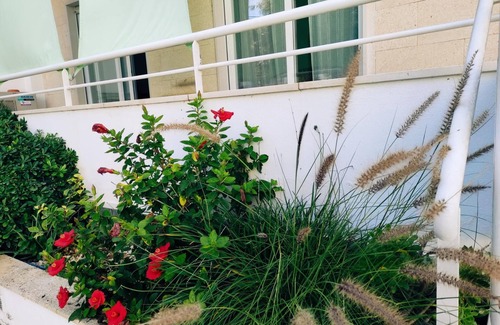 Santa Luzia Apartment | Feet in the water!