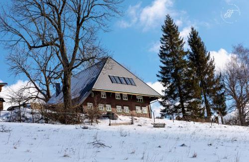 Triberg im Schwarzwald Apartment | Feißesberghof - Wohnung in der Tenne
