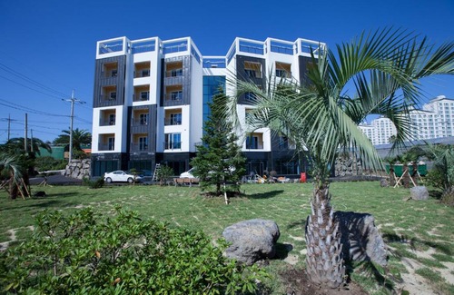 Seogwipo City Hotel | Fellisia Hotel