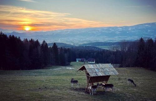 Wolfsberg Apartment | Ferienhütte Simon Gregor