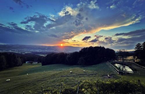 Wolfsberg Apartment | Ferienhütte Simon Gregor