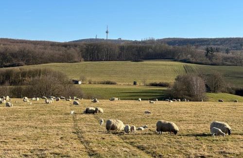 Luegde Apartment | Ferienhaus – Bergblick am Köterberg