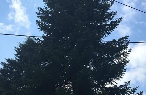 Oberlahr House | Ferienhaus für 6 Gäste mit 70m² in Oberlahr