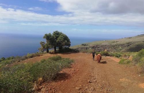 Puntagorda House | Ferienhaus Finca Sonrisa