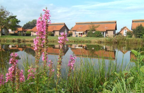 Haren House | Ferienhaus im Golfpark