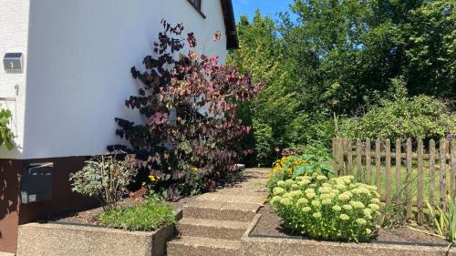 Tholey House | Ferienhaus Johann-Adams-Mühle