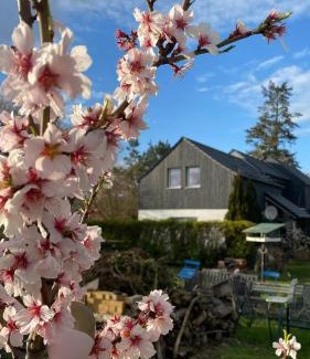 Groß Kreutz House | Ferienhaus Lotte Havelland