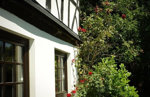 Gemunden Apartment | Ferienhaus Mühlenglück am Holzbach - Holiday home, 3 bedrooms, shower or bath,