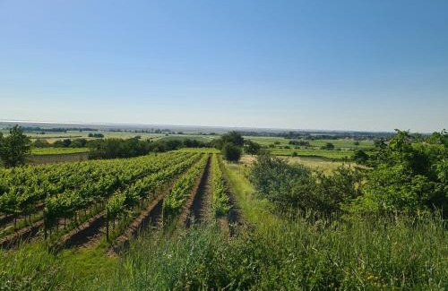Schutzen am Gebirge House | Ferienhaus Savannah
