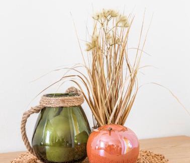 Leopoldskron-Moos House | Ferienhaus Schlagerbauer Biohof