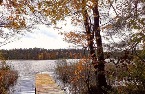 Schonberg House | Ferienhaus Seensucht - Natur am See & im Wald mit Kamin