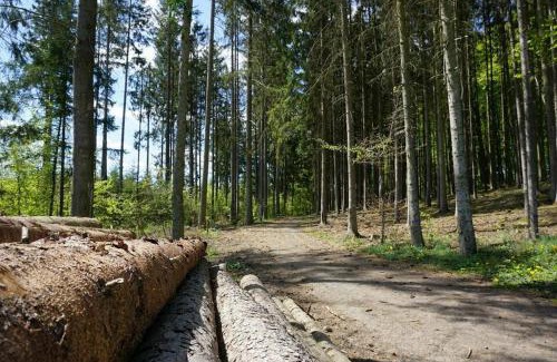 Kirchheim House | Ferienhaus Viola