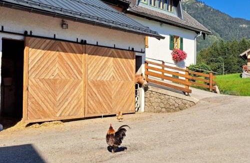 Sankt Wolfgang im Salzkammergut Ski Chalet | Ferienhof Brunbacher Wolfgangsee