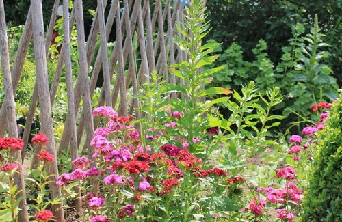 Lauperath House | Ferienhof Mayischhof