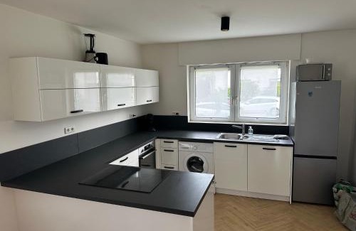 Worms House | Ferienunterkunft Lutherbaum 4 Zimmer