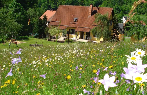 Hollfeld Apartment | Ferienwohnung 3 - Gästehaus Seeber