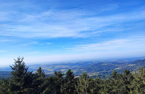 Sankt Englmar Apartment | Ferienwohnung 56qm mit Balkon und Blick in die Natur