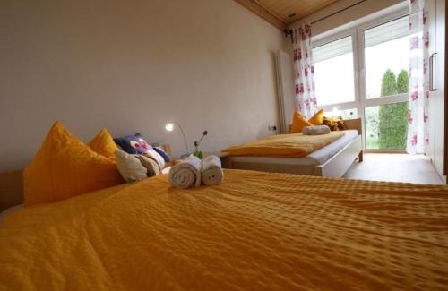 Ochsenhausen Apartment | Ferienwohnung 9