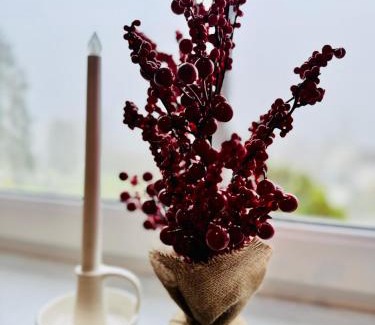 Haiger Apartment | Ferienwohnung Amselweg Haiger