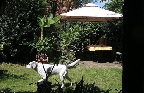 Betschdorf Apartment | Ferienwohnung/app. für 3 Gäste mit 45m² in Schwabwiller