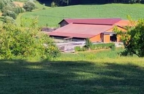 Grafenau Apartment | Ferienwohnung auf dem Bauernhof - zwei Schlafzimmer - Kinderland Bayerischer Wald