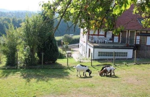 Bringhausen Apartment | Ferienwohnung Bärenhöhle - Ferienwohnungen Kupille