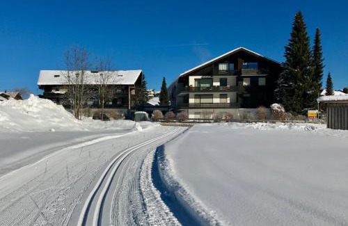 Obermaiselstein Apartment | Ferienwohnung Bergrose