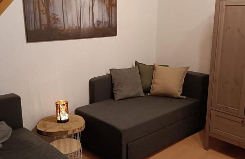 Merchweiler House | Ferienwohnung Birkenwäldchen